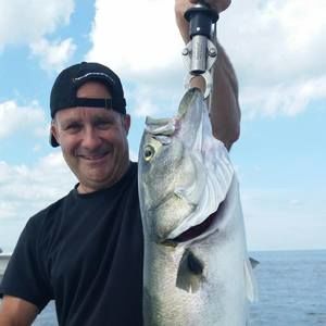 Meet your Posher, Steve